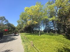 -济南植物园