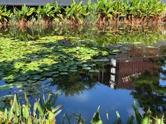 -星巴克(深圳前海企业公馆店)