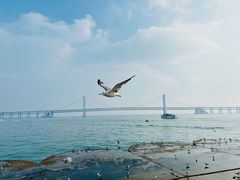 -星海广场