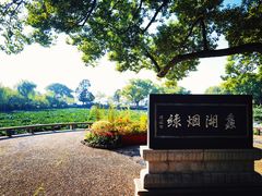 -无锡蠡湖国家湿地公园-蠡园