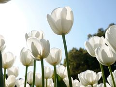 -玄武湖景区-情侣园游乐场