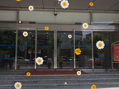 -上海机场-城市航站楼