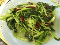 -泸沽肴(泸沽湖大洛水村农村信用社旁店)