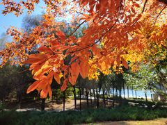 -长春世界雕塑园冰雪艺术天地