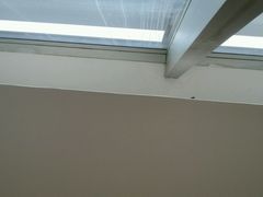 -鸡鸣汤包(乐购仕店)