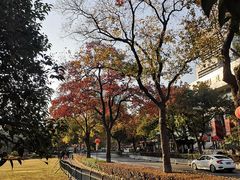 -南京市规划建设展览馆