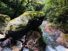 -西岭雪山大飞水景区