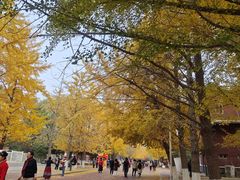 -辽宁大学(崇山校区)