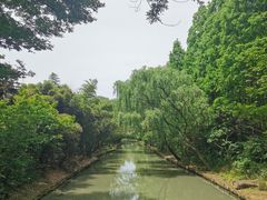 -同里国家湿地公园