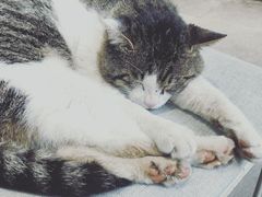 -UNI UNI(环亚凯瑟琳店)