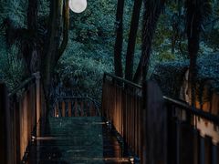 -青城山
