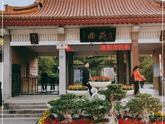 -西苑公园