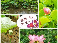-月牙潭公园