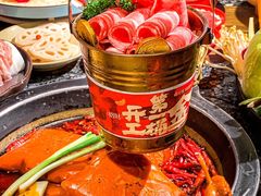 -蜀大侠火锅(总府路店)