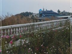 -白草畔自然风景区