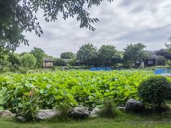 -鹅湖玫瑰文化园