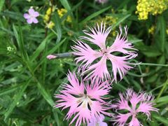 -白草畔自然风景区