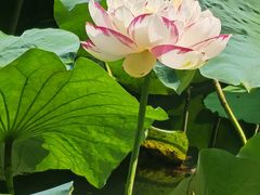 -西南交通大学(九里校区)