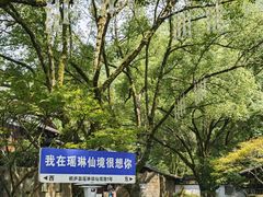-瑶琳仙境