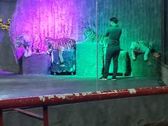-清迈夜间动物园