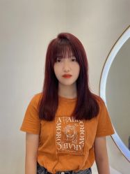 -YESIDO椰岛造型