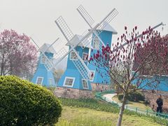 -宜兴龙背山森林公园