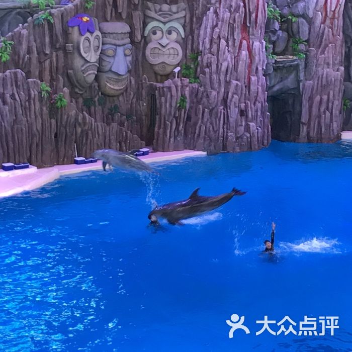 珠海長隆海洋王國圖片-北京海洋館-大眾點評網