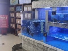 -香山湖渔家大院