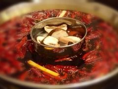 -红鼎坊·老成都火锅(新南门店)