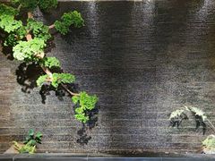 -丽华园(青少年宫店)