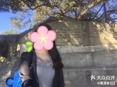 -麦考利夫人座椅