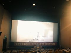 -山文星辉影城(济南和谐广场店)