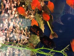 -大润发(王庄店)