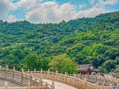 -阳台山森林公园