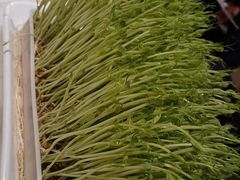 -美姿水荟美食水疗