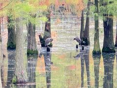 -白鹭湾湿地公园