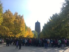 -玲珑塔公园