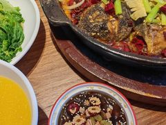 -老板恋上鱼(恒隆广场店)