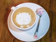 -猫色咖啡·猫咖