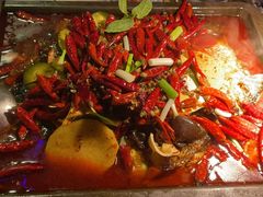 毛血旺烤鱼-探鱼·鲜青椒爽麻烤鱼(沈阳万象城店)