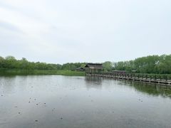 -溱湖国家湿地公园