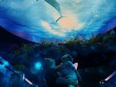 -陕西自然博物馆