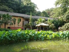 -天怡·鱼工厂(梅溪湖店)