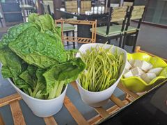 -蘑统田下·野生菌火锅
