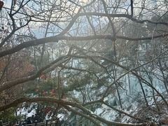 -沂蒙山旅游区云蒙景区(蒙山国家森林公园)