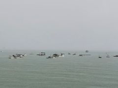 -北海金海湾红树林生态旅游区