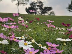 -钟山体育运动公园