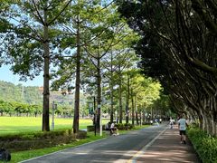 -顺峰山公园