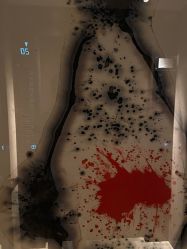 -宴会厅(北京瑰丽酒店)