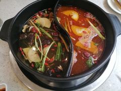 -蜀皇·菌汤鲜黄牛肉汤锅(宽窄巷子店)